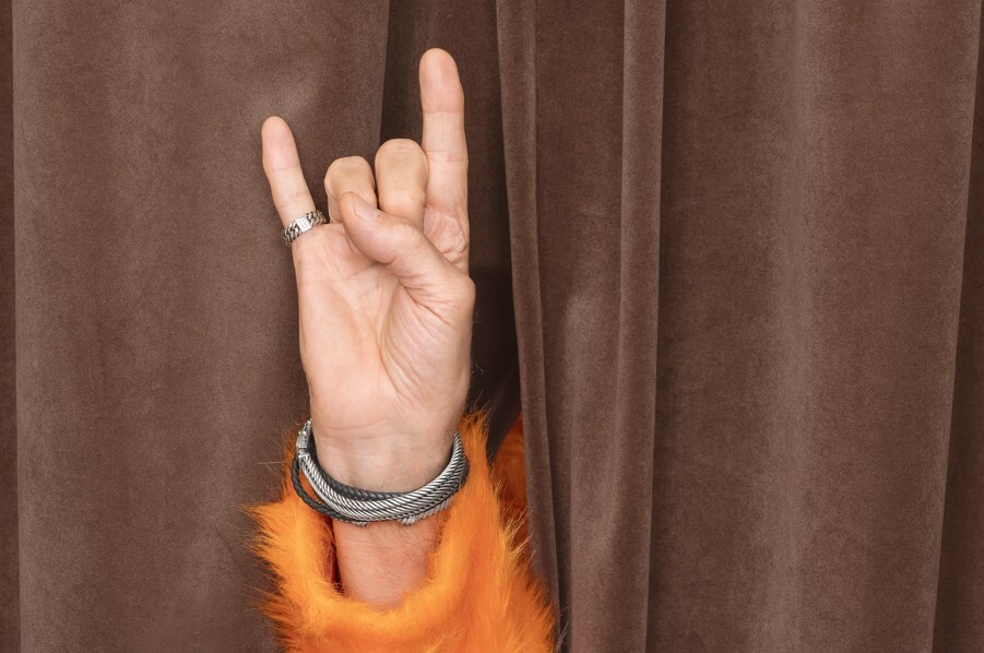 FOREVER YOUNG  Rock&rsquo;n&rsquo;Roll bis zum Schluss